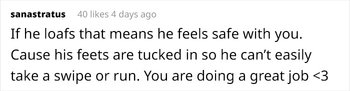 After Going Viral On Twitter, Fishtopher Has Recently Been Adopted And Is Off To Live A Happy Life After Going Viral On Twitter, Fishtopher Has Recently Been Adopted And Is Off To Live A Happy Life