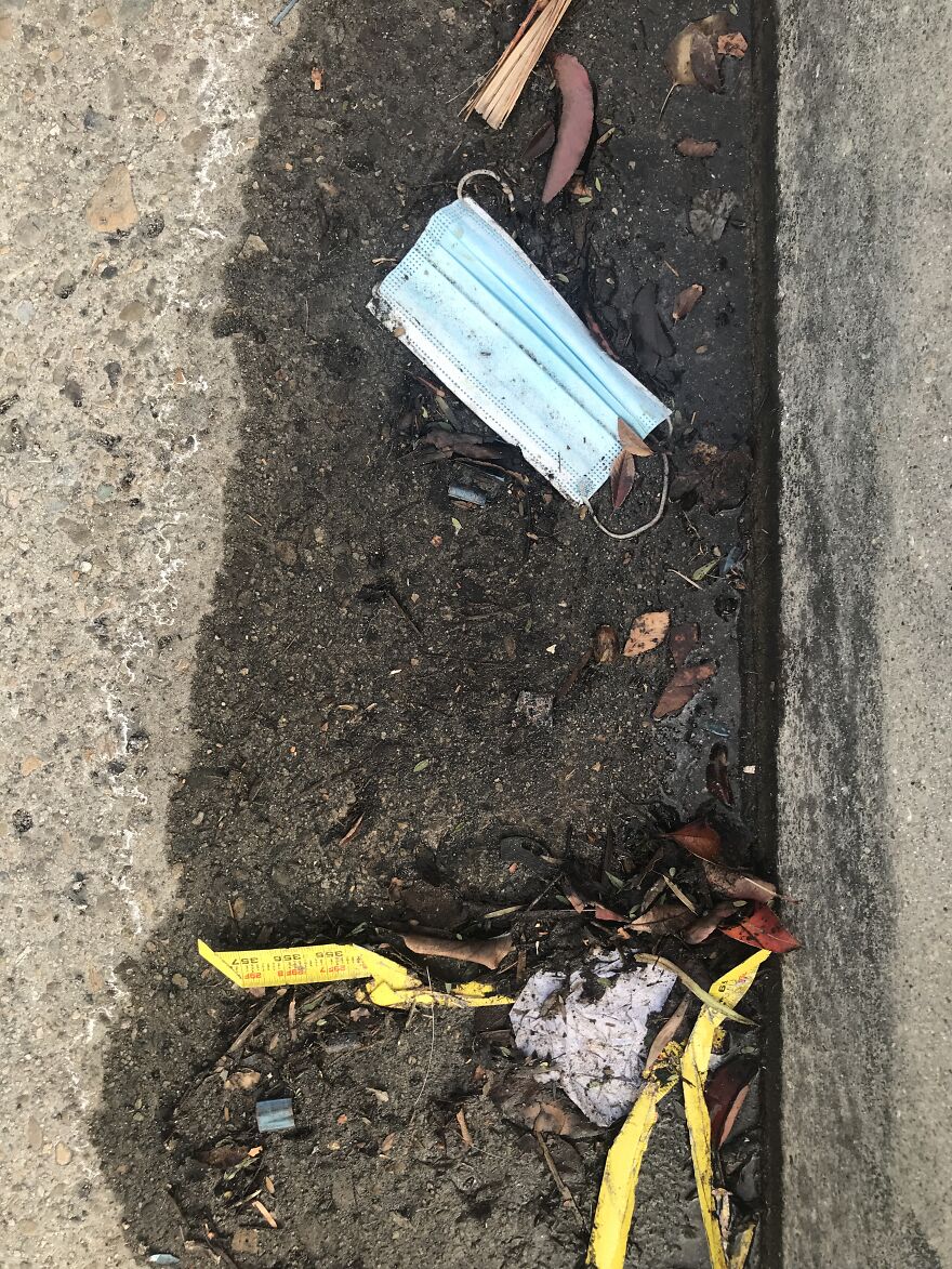 Earth's Newest Layer Of Trash: Face Masks Earth's Newest Layer Of Trash: Face Masks