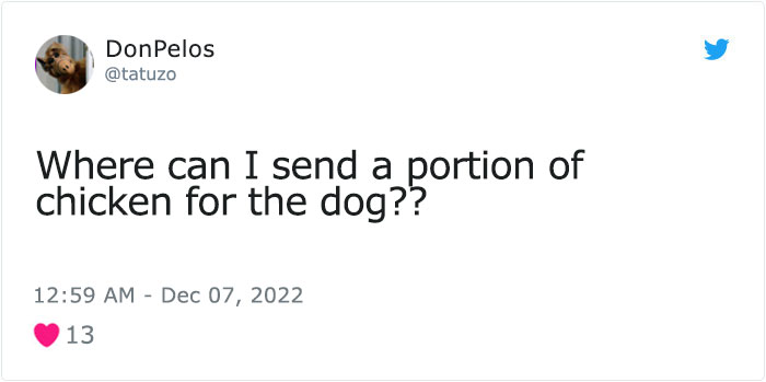 Dog Named Palomo Has Helped Mexican Authorities To Find His Missing Owner Dog Named Palomo Has Helped Mexican Authorities To Find His Missing Owner