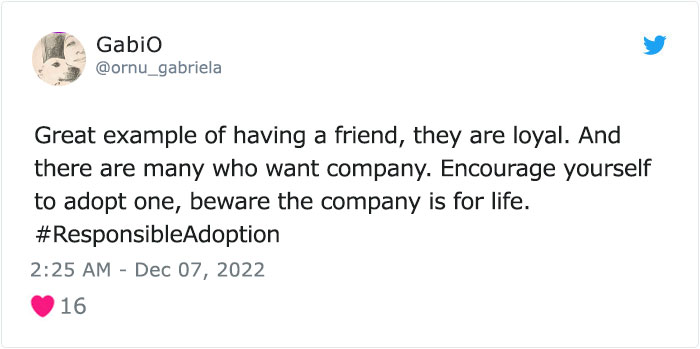 Dog Named Palomo Has Helped Mexican Authorities To Find His Missing Owner Dog Named Palomo Has Helped Mexican Authorities To Find His Missing Owner