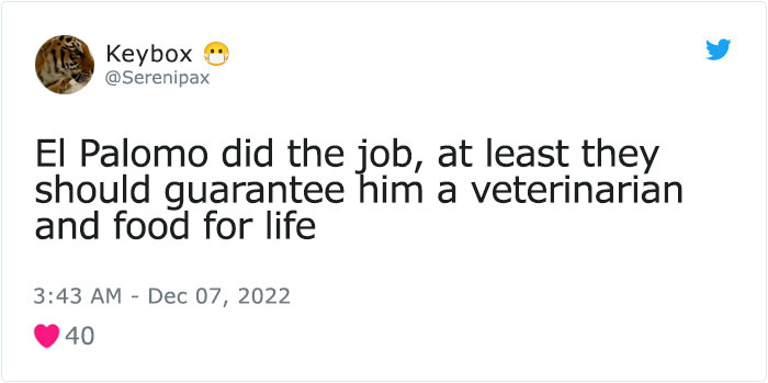 Dog Named Palomo Has Helped Mexican Authorities To Find His Missing Owner Dog Named Palomo Has Helped Mexican Authorities To Find His Missing Owner