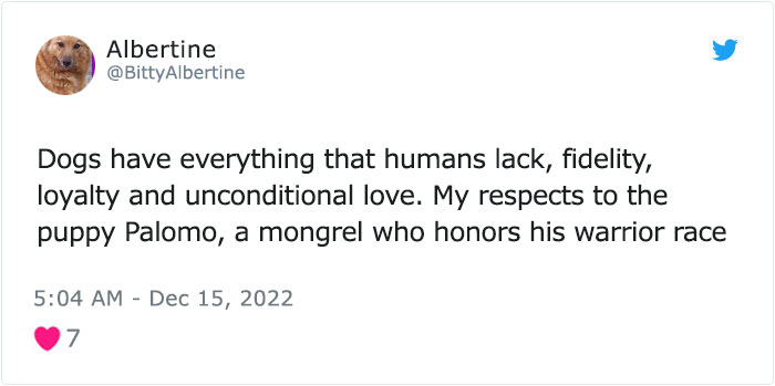 Dog Named Palomo Has Helped Mexican Authorities To Find His Missing Owner Dog Named Palomo Has Helped Mexican Authorities To Find His Missing Owner