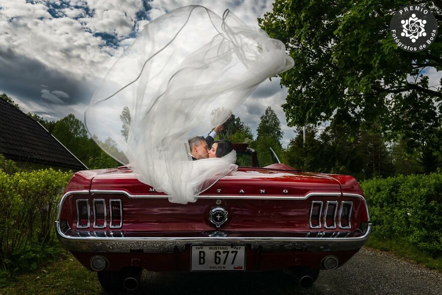 "Let The Veil Fly High On The Mustang" Photo By Dami Saez (Spain)