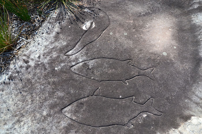 Sydney Rock Engravings (+3000 BC)