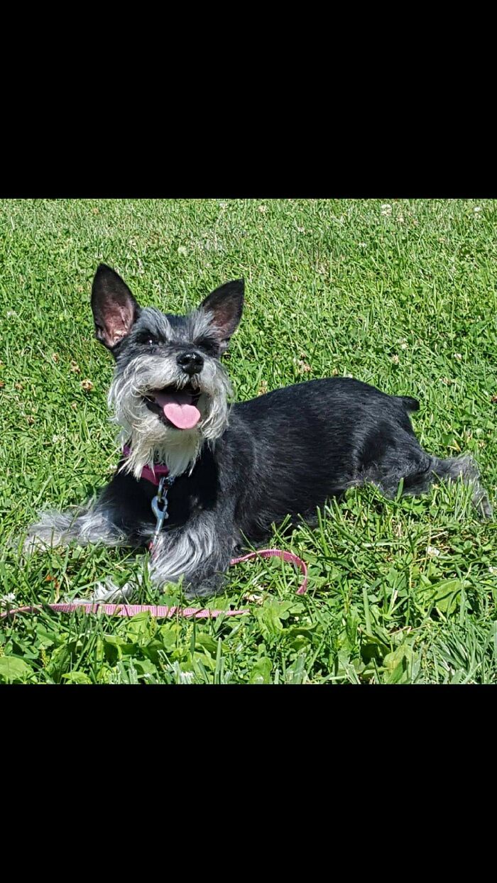 My First Addition To The Post :)