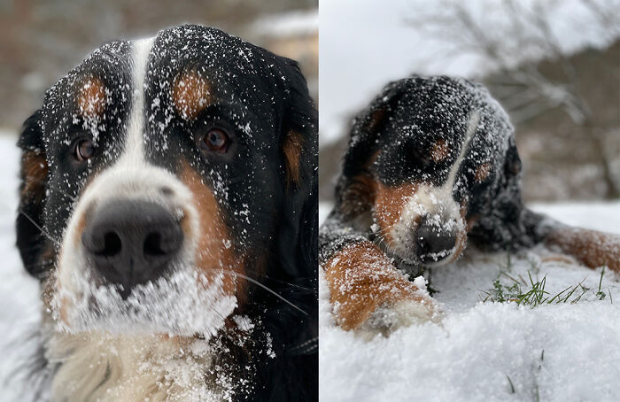 If By Enjoying You Mean Eating