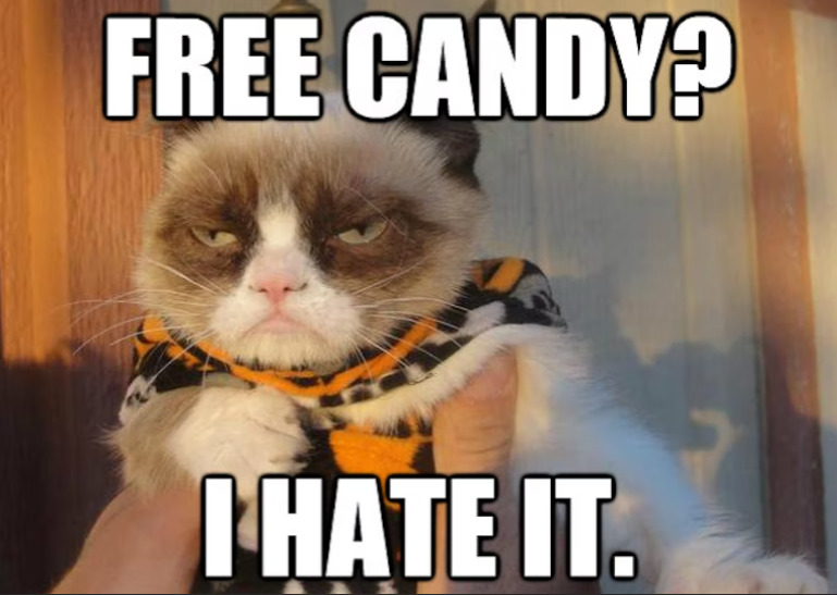 Hey Pandas Draw Your Fave Animal