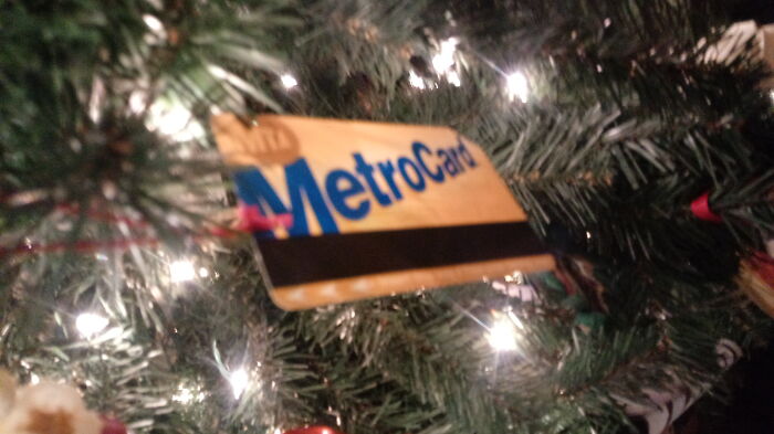 A Subway Card From NYC, I Am Not Sure Why It Is On The Tree, But Its Been There A While