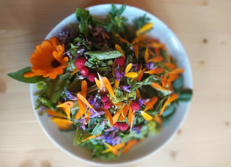 Salad With Edible Flowers