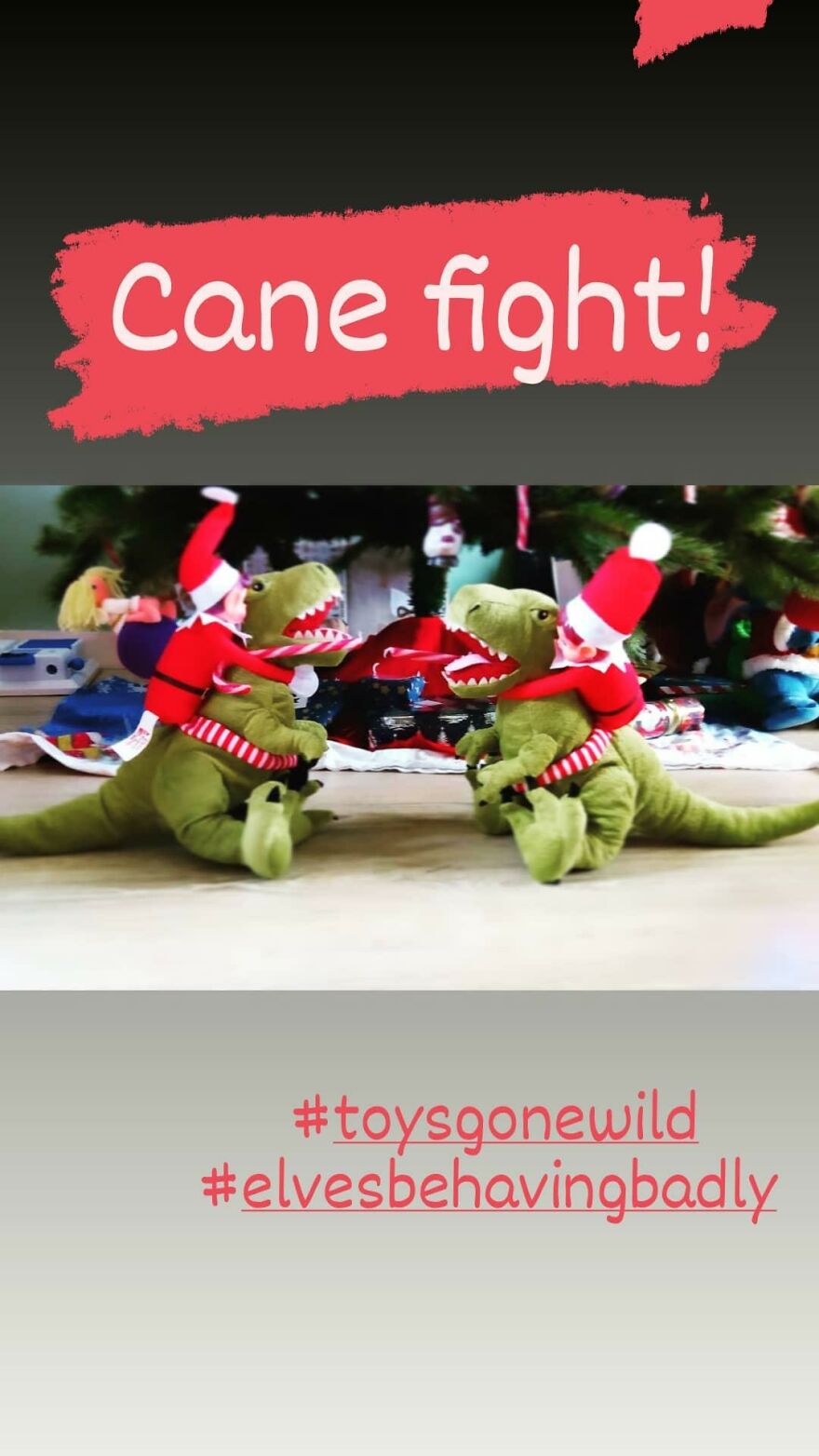 Canefight!!! #plushgonewild