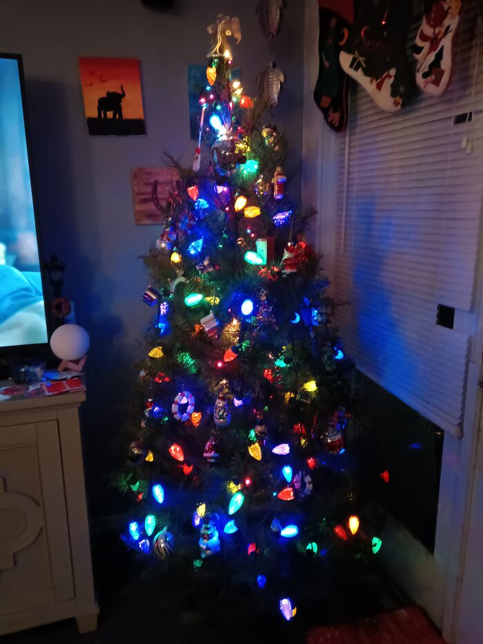 My Christmas Tree This Year