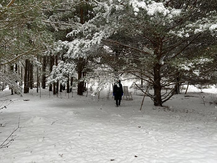 My Winter Wonderland