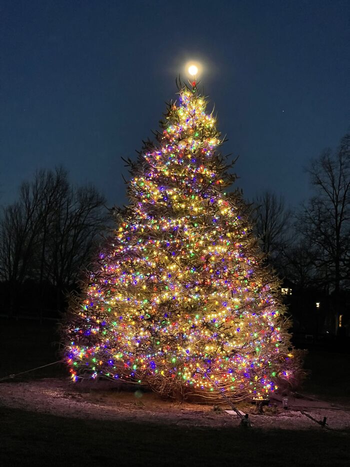 Outdoor Christmas Tree With Full Moon For A Topper