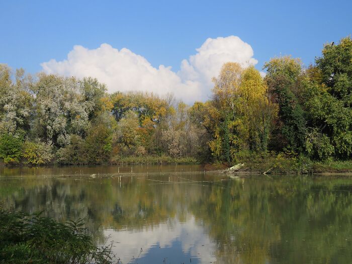 My Favorite Place, Lots Of Birds, Few People, Close To My House, Perfect For Me