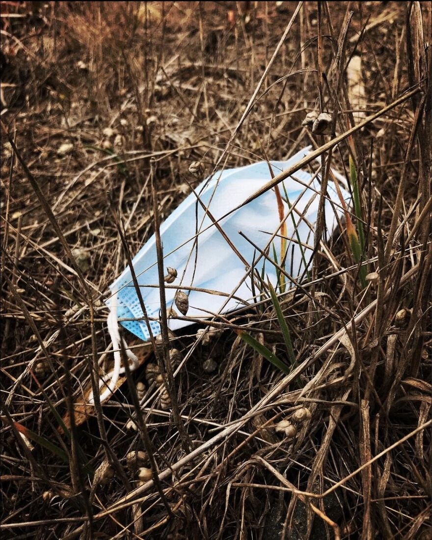 Earth's Newest Layer Of Trash: Face Masks Earth's Newest Layer Of Trash: Face Masks