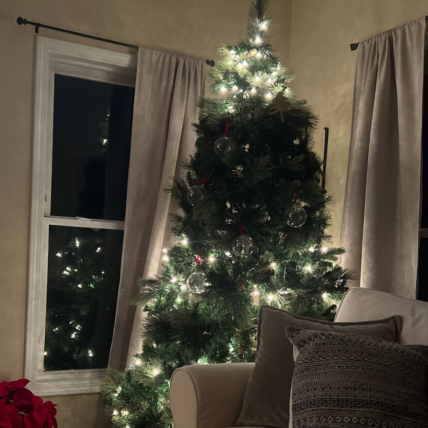 12 Christmas Trees You Wouldn’t Want To Have In Your House
