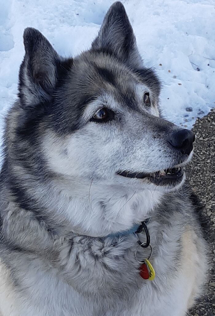 Meeka Enjoying The Colder Weather