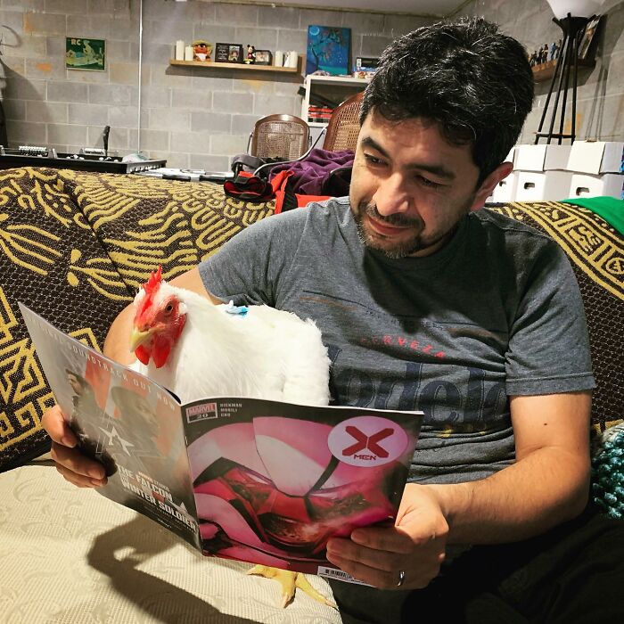 Boo Was Rescued From A Meat Factory 5 Years Ago, And His Life Shines In New Colors Ever Since Boo Was Rescued From A Meat Factory 5 Years Ago, And His Life Shines In New Colors Ever Since