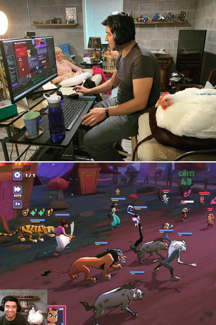 Boo Was Rescued From A Meat Factory 5 Years Ago, And His Life Shines In New Colors Ever Since Boo Was Rescued From A Meat Factory 5 Years Ago, And His Life Shines In New Colors Ever Since