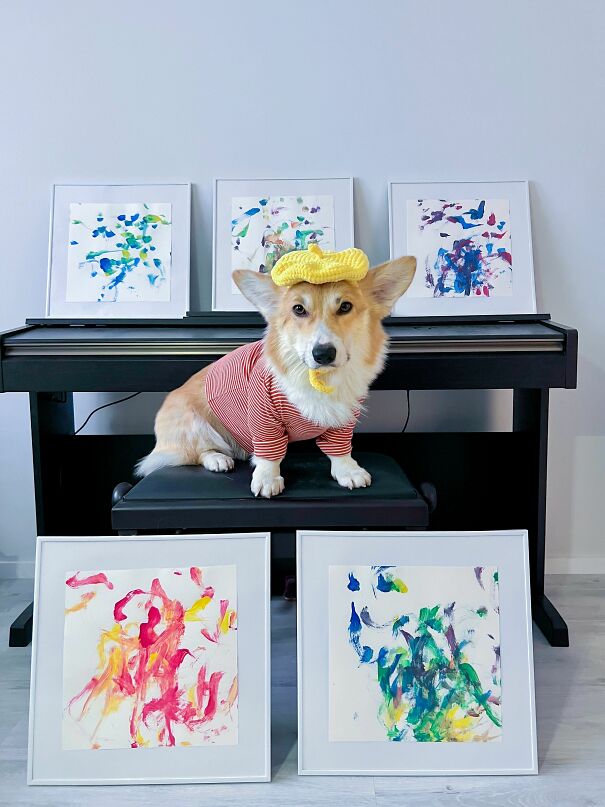 Meet Kobis - A Corgi That Knows Over 60 Tricks Including Riding A Skateboard, Painting, Playing Basketball And More Meet Kobis - A Corgi That Knows Over 60 Tricks Including Riding A Skateboard, Painting, Playing Basketball And More