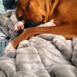 twilights_mrs-cullen avatar