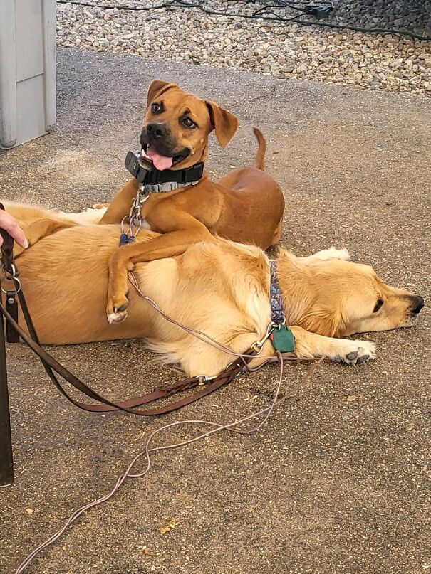 These Capture Maya's Personality Perfectly