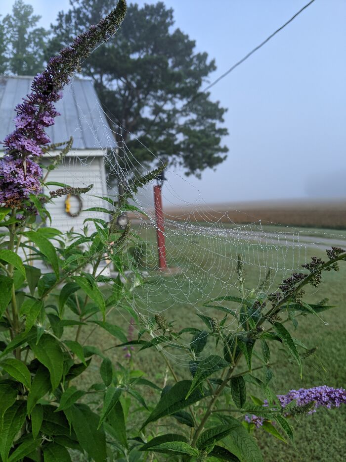 View From My Farmhouse