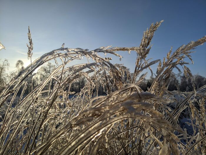 Winter Photographed With My Phone (14 Pics)