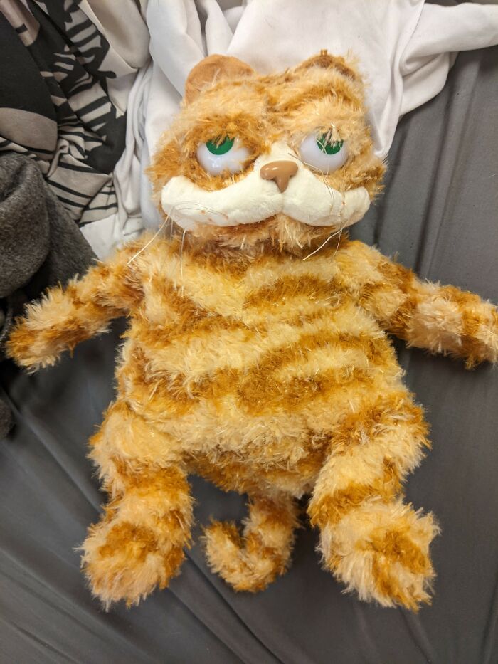 Garfield's Blursed Cousin