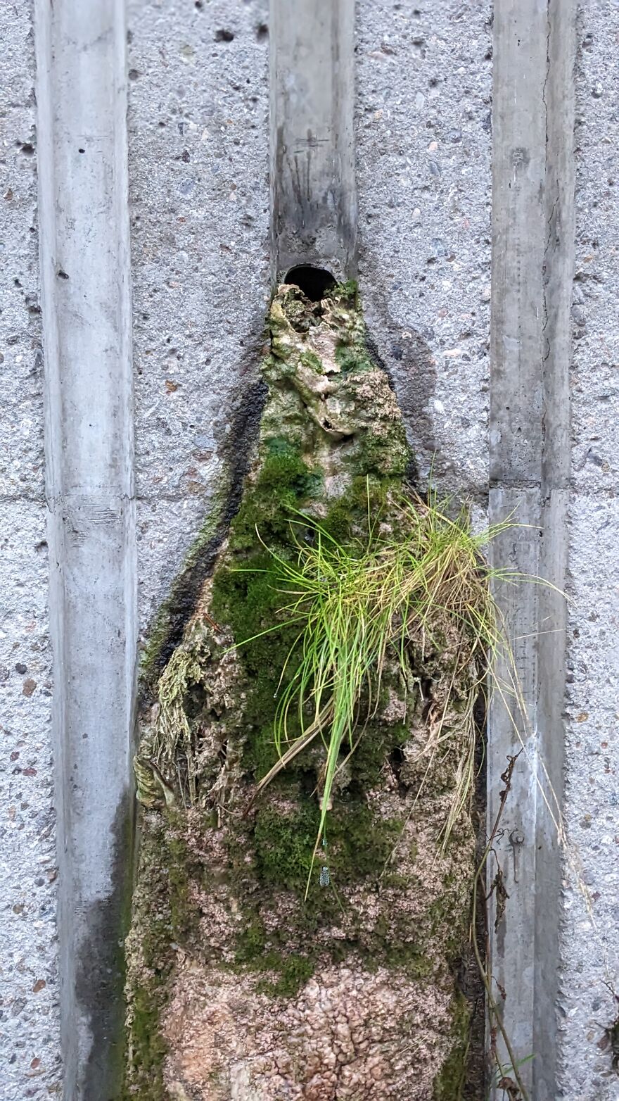 Pov : You Live In Edinburgh