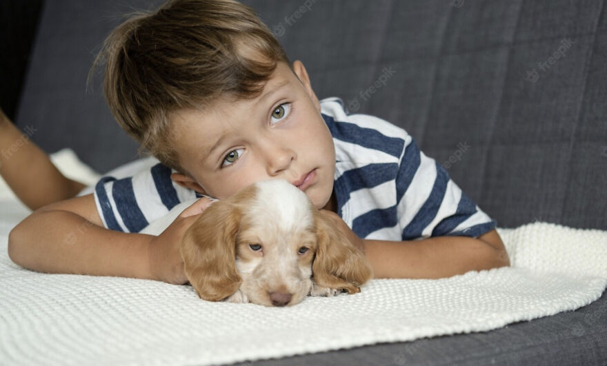 A Photo Blanket Of A Boy And His Puppy. Not Our Boy, Not Our Puppy. Strangers. The Photo Store Was Going Out Of Business And Was Selling Off All The Samples