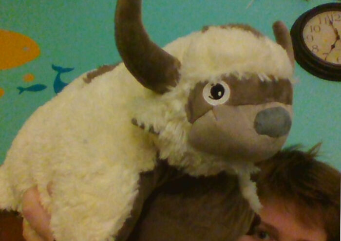 Appa Plushie From "Avatar The Last Airbender"!