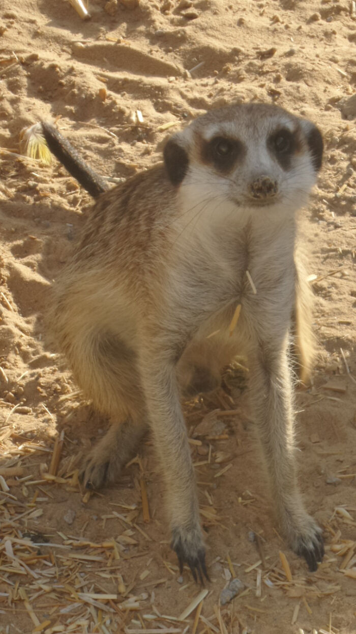 Vacation In Dubai, Spending Most Time In A Petting Zoo With Rescued Animals Where My Bff Worked At! Best Christmas Ever!