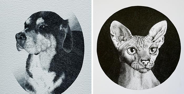 My 30 Stippling Drawings That Are Composed Of Millions Of Dots