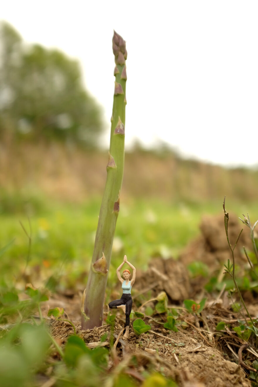 Asparagus Yoga