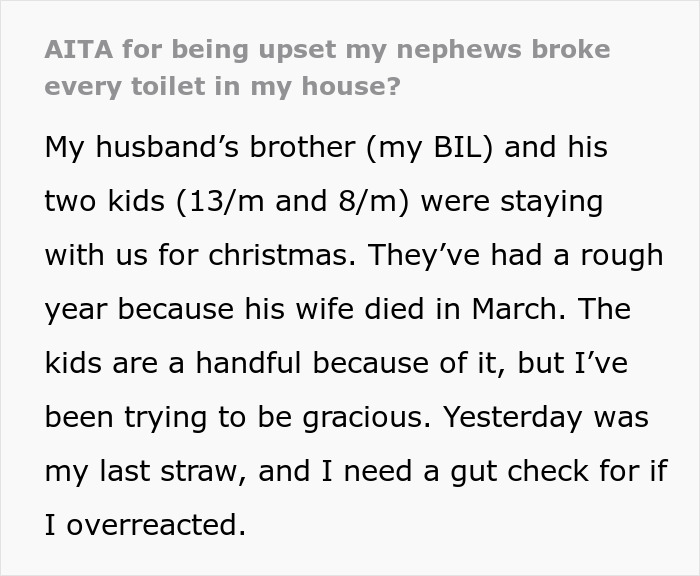 "You’re Throwing Us Out?": Woman Throws Out Her Husband's Brother And His Two Kids From Her Home After They Broke All The Toilets "You’re Throwing Us Out?": Woman Throws Out Her Husband's Brother And His Two Kids From Her Home After They Broke All The Toilets