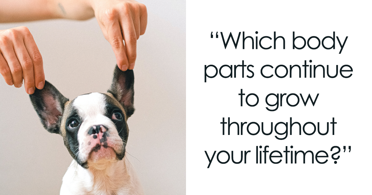 180 Bar Trivia Questions We Just Can’t Wait To Answer Bored Panda