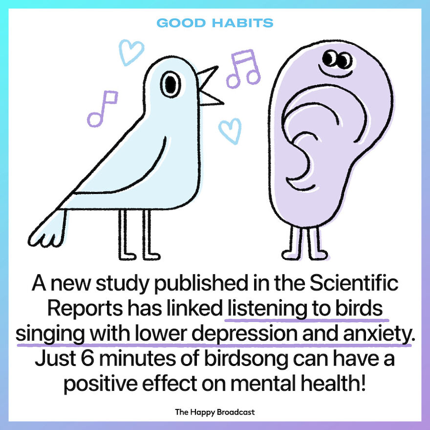 Nature Sounds Help Reduce Depression