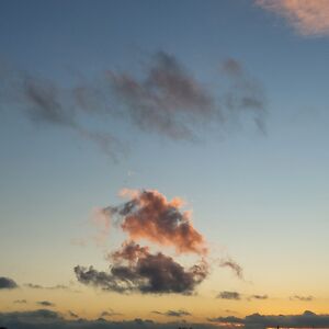 hannatrueholz avatar