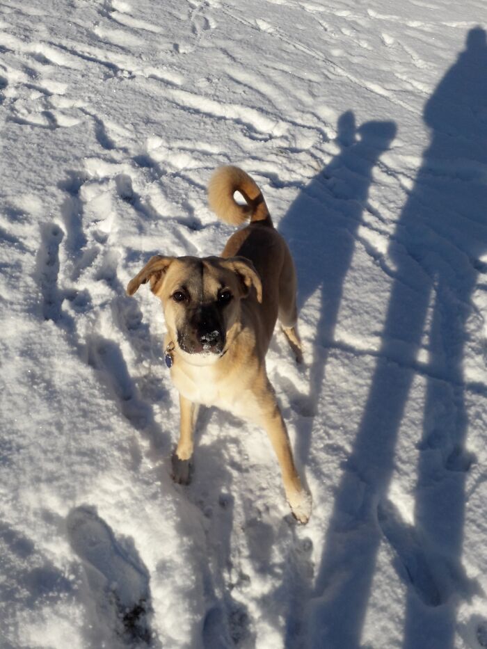 Lara Loves To Eat Little Snowballs