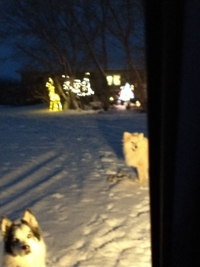 The Prairies In Canada