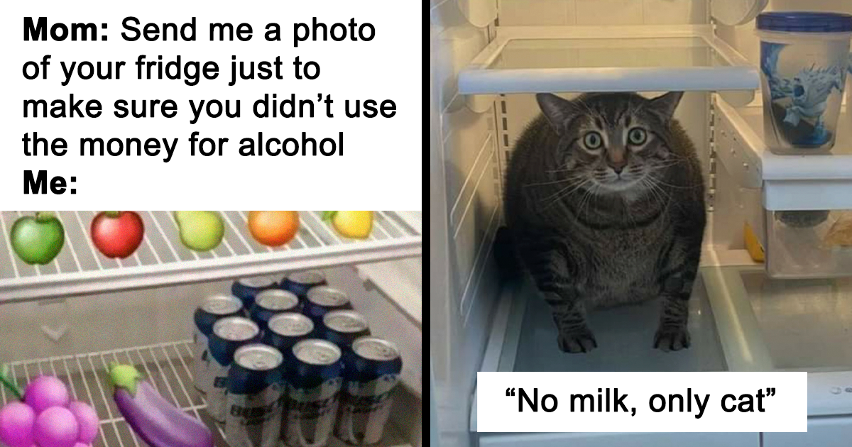 35 Pics Of Unexpected Things In Fridges That People Shared On This ...