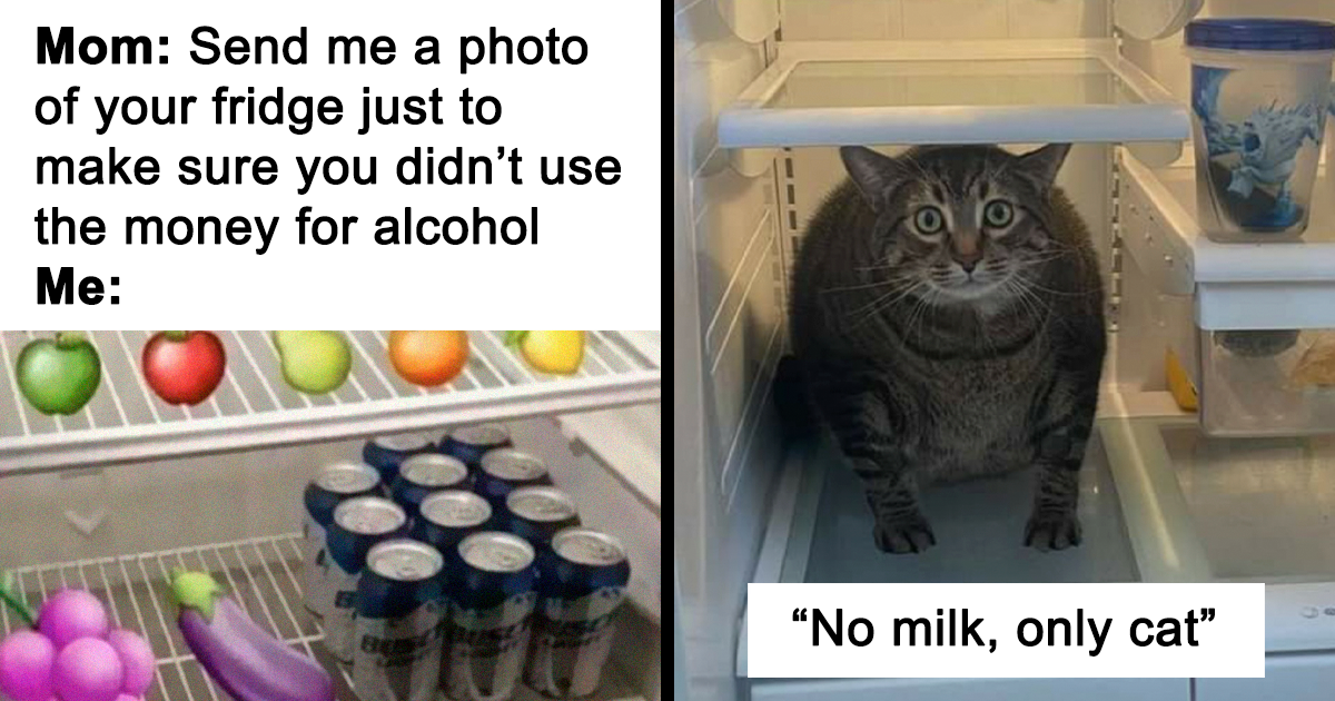35 Pics Of Unexpected Things In Fridges That People Shared On This