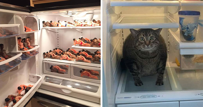 35 Pics Of Unexpected Things In Fridges That People Shared On This Online Group