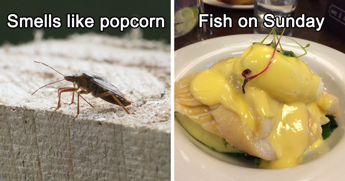 30 Restaurant Red Flags That Chefs Say You Shouldn’t Ignore Bored Panda