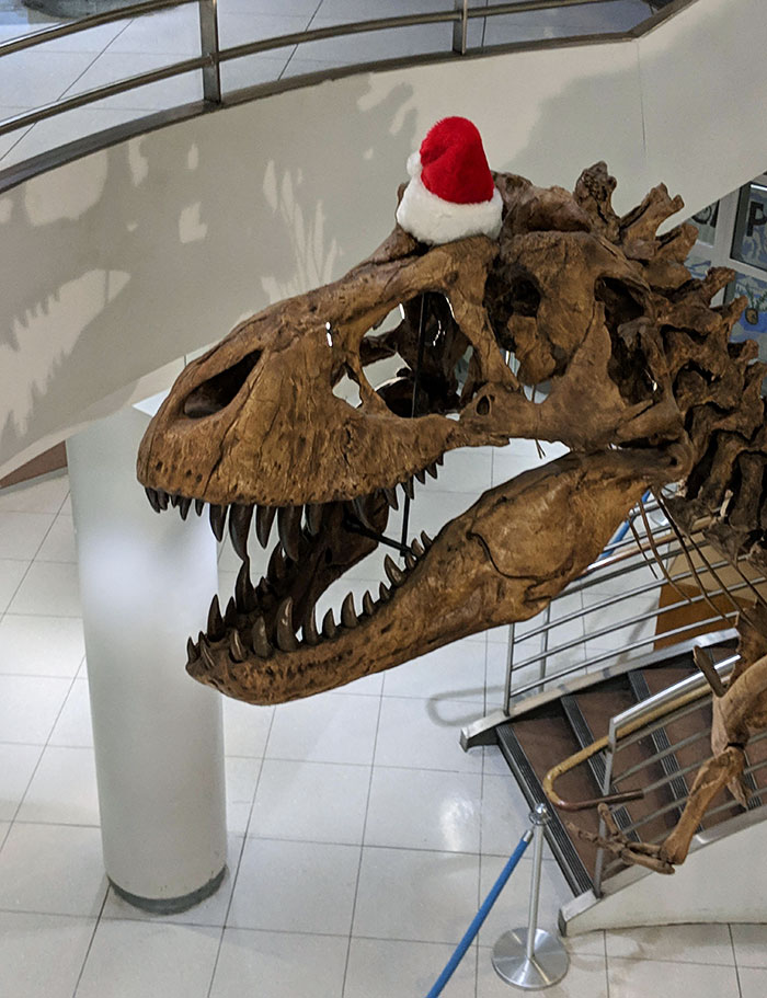 This Hat They Put On The T-Rex At My University During The Holidays