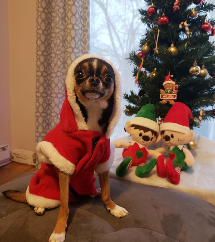 His New Christmas Outfit!