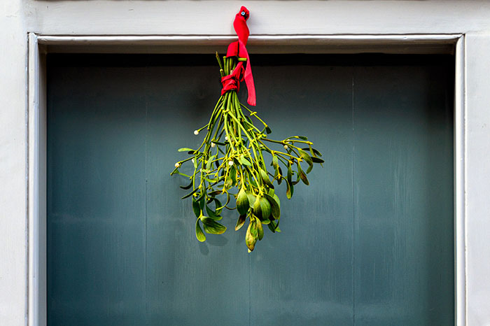 Hang The Mistletoe