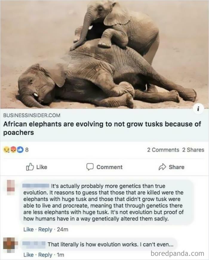 Ah Yes. Evolution Has Nothing To Do With Genetics