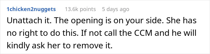 Plane Passenger Annoyed After Learning They Can’t Use Their Tray Table Because A Woman Put A Seat Attachment Over It
